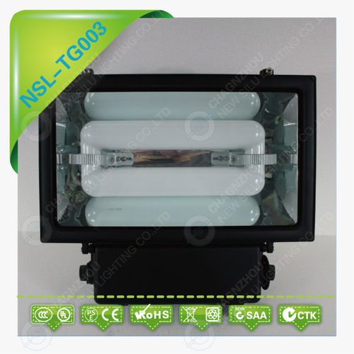 Induction Flood Light (NSL-TG003)