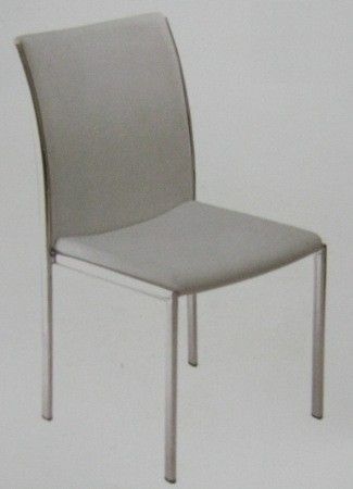 Stainless Steel Chair (Evc 970)