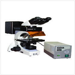 Fluorescence Microscope Dimension(L*W*H): 3-300 Millimeter (Mm)