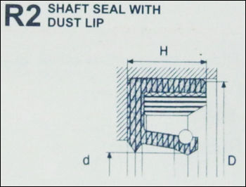 Shaft Seal With Dust Lip