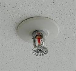 Reliable Performance Fire Sprinkler