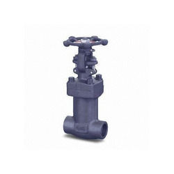 Forged Bellow Seal Valves