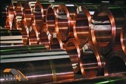 Phosphor Bronze Strips