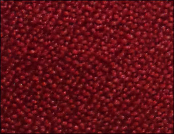 ट्विस्टर कलर फर्निशिंग फैब्रिक