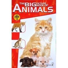 Animals Picture Big Book