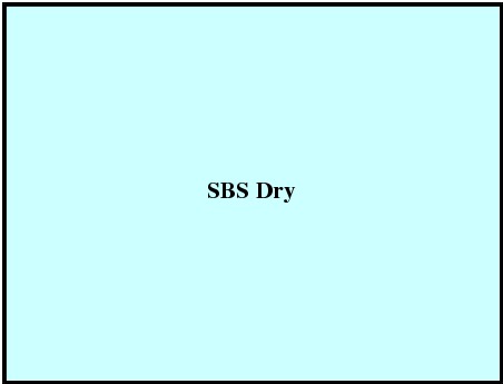 SBS Dry