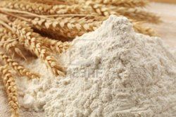 Wheat Flours