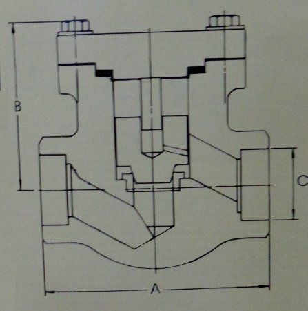 Lift And Swing Check Valves