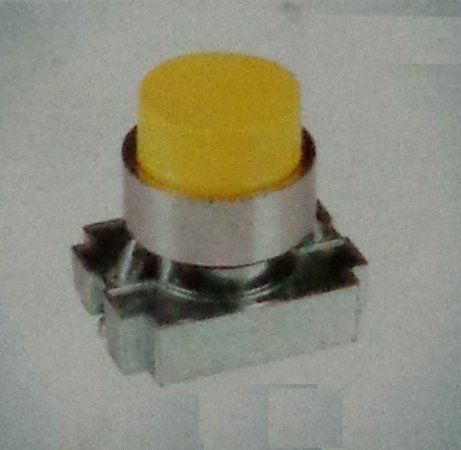 Push Button Switch (Protecting)