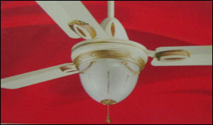 Flamingo Ceiling Fan