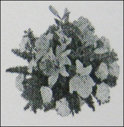 Flower Bunches (-02)