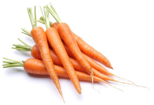 Carrot Seed Oil - Cold-Pressed Extract, Yellow to Amber Color, Earthy Sweet Aroma, Rich in Carotol and Flavones