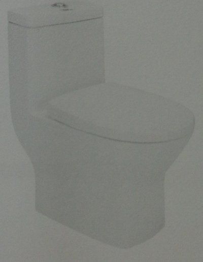 Rene One Piece Water Closet