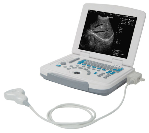 Human Ultrasound Scanner (DW-500)