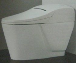 Cyber Multifunction Water Closet