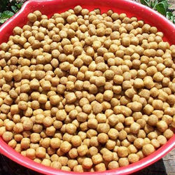 Soybean Meal