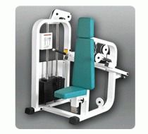 Piston Triceps Machine