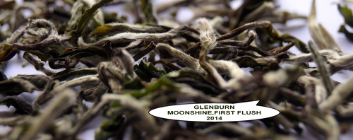 Glenburn "Moonshine" Tea