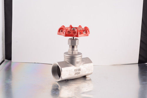 Globe Valve