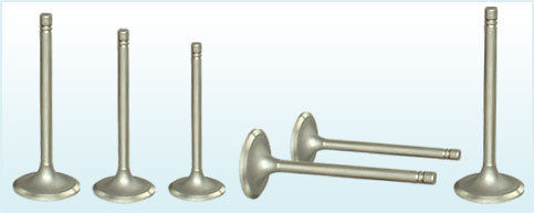 Industrial Engine Valves