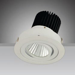 LED Downlight (PW-006)