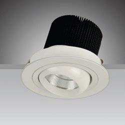 Led Downlight (Pw-011)