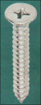 Flat Head S.s. Self Tapping Screw