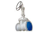 Flexible Wedge Gate Valves