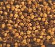  Black Pepper Chana