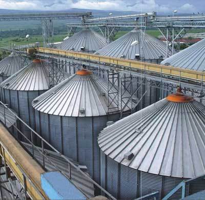 Robust Frame Flat Bottom Silos