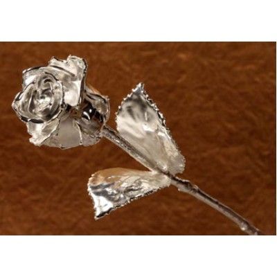 11'' Silver Plated Rose