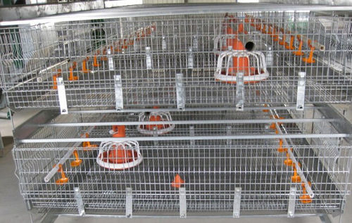 Broiler Chicken Cage For Poultry Farm