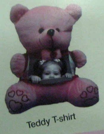 Teddy With T-Shirt By VANSHIKA PRINTS