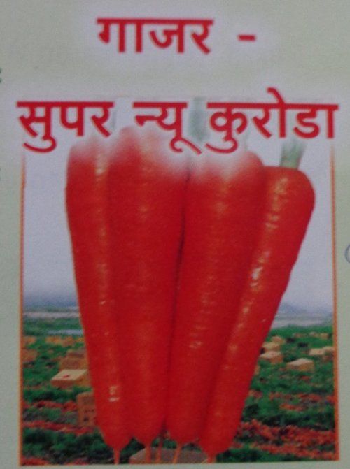 Carrot Seeds