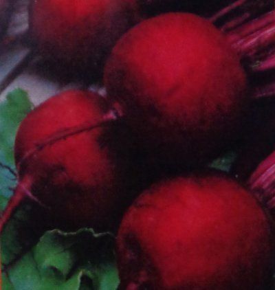 Red Turnip Seeds