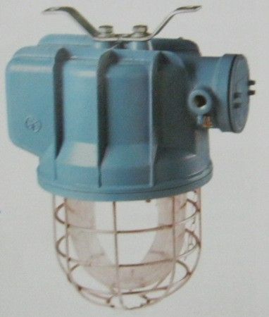 Wp Well Glass Lighting Fixture With Integral Control Gear (Lw 32250)