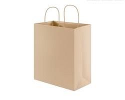 Paper Carry Bag For Shopping