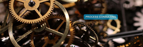 Process Consulting Service By Dexter Consultancy Pvt. Ltd.