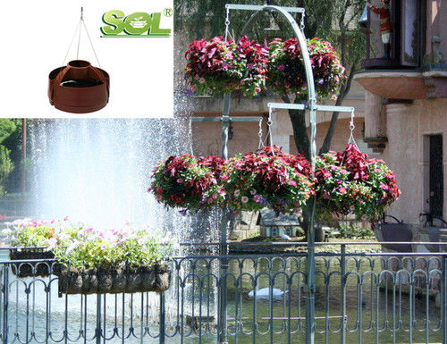 Ornaments Type Hanging Basket