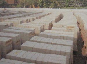 Fly Ash Bricks