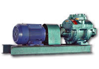 Water Ring Vacuum Pump