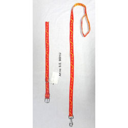 Dog Collar And Lead