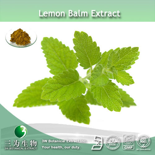 Lemon Balm Extract