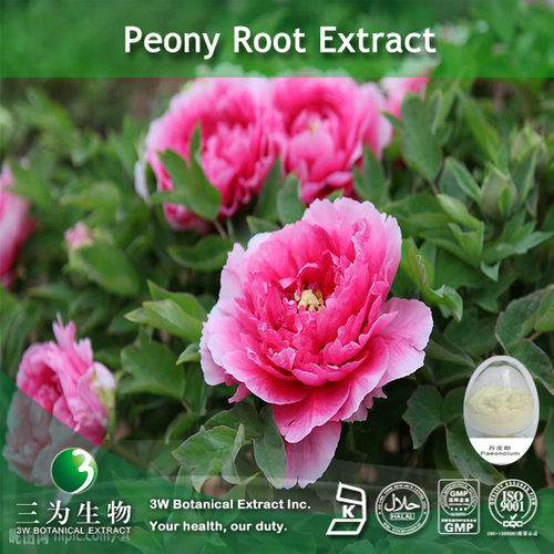 White Peony Extract