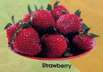 Strawberry