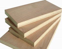 Architect Ply Board