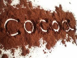 Cocoa Powder (Alkalised And Natural)