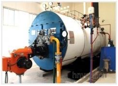 WNS Series Auto Gas or Oil Fired Steam Boiler