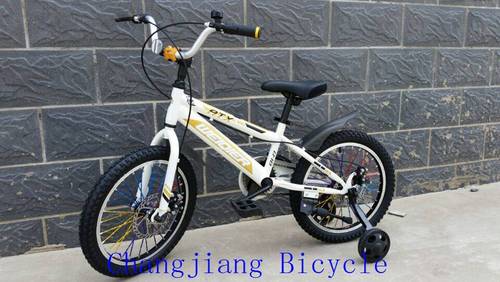 BMX Style Kids Bike