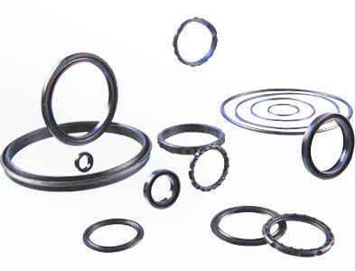 Gaskets And Seals For Drilling Mud Pump